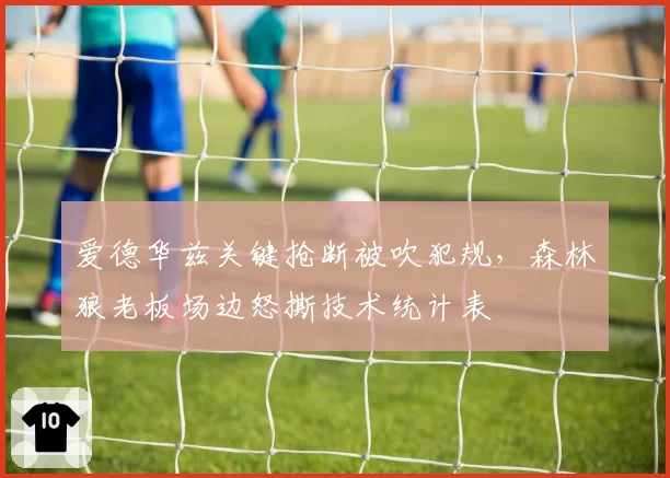 爱德华兹关键抢断被吹犯规，森林狼老板场边怒撕技术统计表