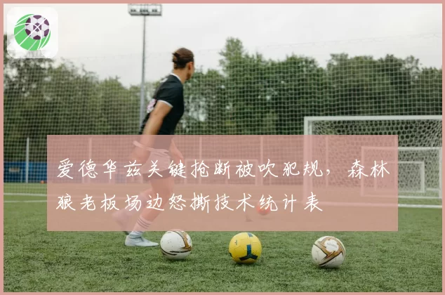 爱德华兹关键抢断被吹犯规，森林狼老板场边怒撕技术统计表