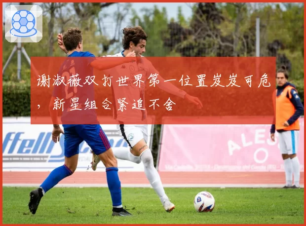 谢淑薇双打世界第一位置岌岌可危，新星组合紧追不舍